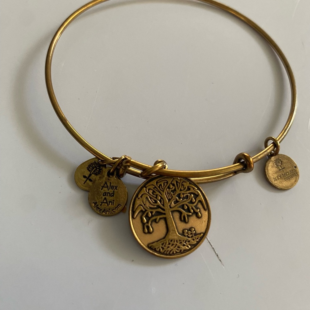 Alex and Ani Gold Charm Bangle
